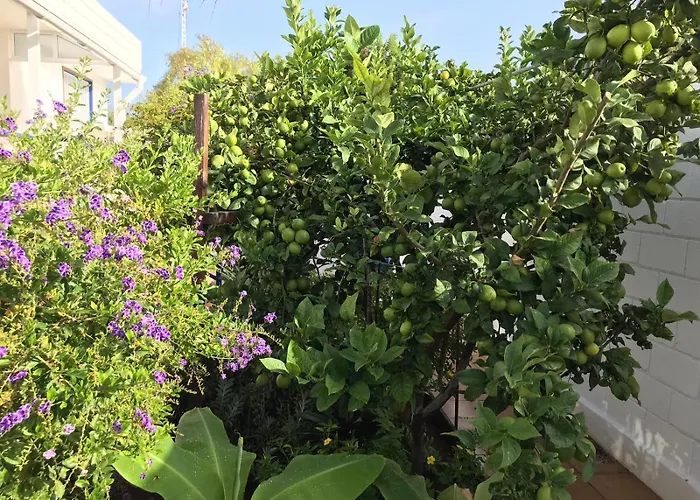 Atlantis - Luxury Oceanfront - Next To The Villa